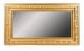 Rectangular Wall Mirror wGold Painted Finish