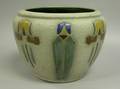 Roseville Pottery Mostique Pattern Jardiniere