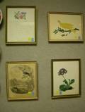 Lot of Seven Framed Decorative Items