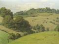 Harold Sichel American 18811948 Hill Pasture
