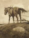 Attributed to Howard Pyle American 18531911 The Plow Horse