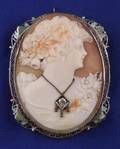 Shell Cameo Habille Pendant Brooch