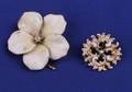 Two 14kt Gold Enamel and Diamond Flower Pins