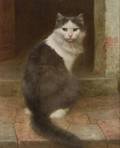 Wilhelm Schwar German 18601943 On the Stoop Gray and White Cat