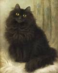 Percy Sanborn American 18491929 The Artists Cat