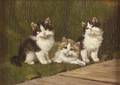 German School 19th20th Century Three Kittens