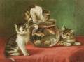 August Laux American 18471921 Mischievous Kittens