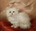 Carl Kahler AustrianAmerican b 1855 White Angora Kitten on a Pillow
