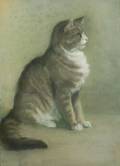 American School 19th20th Century Portrait of a Gray Cat in Profile