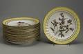 Fourteen Derby Porcelain Botanical Decorated Dessert Plates