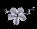 Ladies Floral Brooch w Diamonds  Blue Sapphires