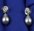 18kt White Gold Pearl and Diamond Earpendants