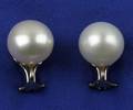 South Sea Pearl Stud Earrings
