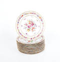 Set of eleven Dresden painted porcelain plates