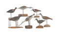 Seven carved and painted shorebird decoys