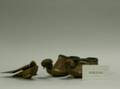 Pair of Greek Wooden Birds and Shoes