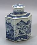Canton Porcelain Tea Caddy