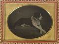QuarterPlate Daguerreotype Of A Dog