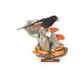 Boehm Towhee bird figure