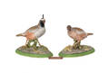 Pair of Boehm California quails