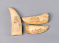 Three scrimshaw decorated whale teeth
