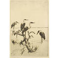 Frank Weston Benson American 18621951 Herons at Rest