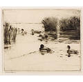 Frank Weston Benson American 18621951 Ducks