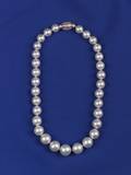 Strand of South Sea Pearls