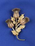 Tricolor 18kt Gold Thistle Brooch