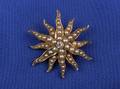 Antique Pearl and Diamond Starburst PendantBrooch