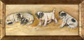 Oil on board of four dogs playing with a spider
