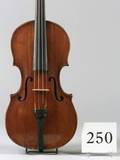 Violin