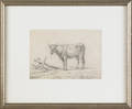 Three Continental etchings of cows