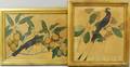 Two Botanical Illustrations with Birds