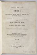 Cassin John 18131869 Illustrations of the Birds of California Texas Oregon British and Russian America