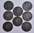 Eight Coronet Head Large Cents