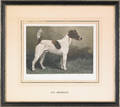 Two John Emms pencil signed dog prints
