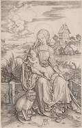 Albrecht Drer German 14711528 The Virgin and Child with Monkey