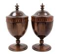 A Pair of George III Style Mahogany Cutlery Urns