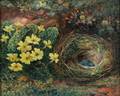 British School 19th20th Century Birds Nest and Flowers
