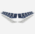 Ludwig Mies van der Rohe   Brno chairs from The Four Seasons set of twelve