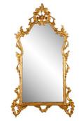 French Neoclassical Giltwood Garden Motif Mirror