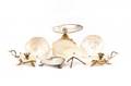 Group of Eight Shell Tabletop Accessories
