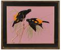 Paul Pletka YellowRumped Cacique Mixed Media