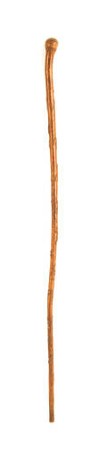 Pennsylvania carved cane by the