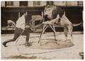Group of Three Photographs of Circus Lions Including a
