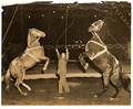 Group of 22 Equestrian Photographs Various dates and