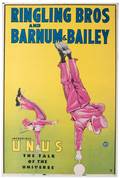 Ringling Brothers and Barnum  Bailey Incredible Unus