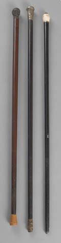 Three walking sticks