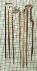Seven miscellaneous walking sticks and canes